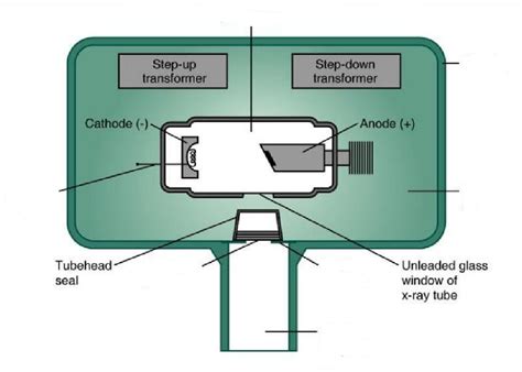 metal housing of x ray tubehead|x ray tubehead flashcard.